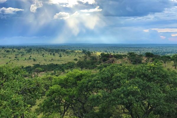 Lemala Kuria Hills Serengeti