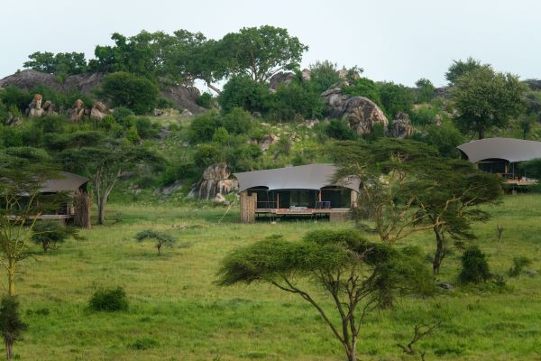 Lemala Nanyukie Serengeti