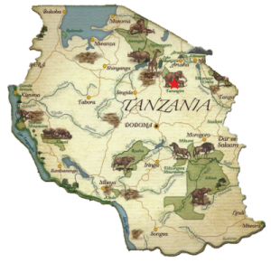 Tanzania Tarangire
